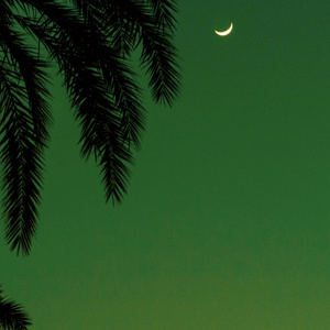 国产⭕⭕⭕拗女
